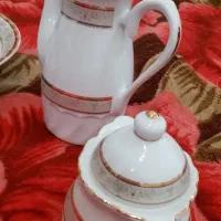 ظروف چینی