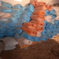 گندم سیوند قوتی|عمده‌فروشی|برخوار, |دیوار