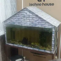 اکواریوم|ماهی|خرمآباد, |دیوار