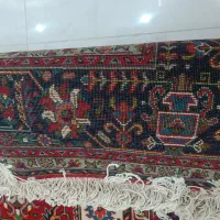 فرش پشمی دستباف|فرش|قم, شهرک فاطمیه|دیوار