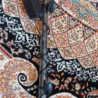 آکواریم با تمام لوازم زیرقیمت|ماهی|قم, پردیسان|دیوار