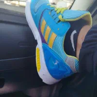 کفش|کیف، کفش، کمربند|کنگاور, |دیوار