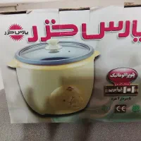 پلوپز نو داخل کارتن  ۴نفره