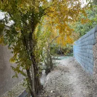 اجاره خانه باغ در مهریز|اجارهٔ کوتاه‌مدت ویلا و باغ|مهریز, |دیوار
