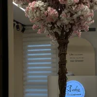 رنگ کار|استخدام درمانی، زیبایی، بهداشتی|رشت, دیلمان|دیوار