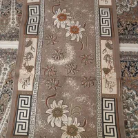 گلیم|گلیم، جاجیم، گبه|قم, شاد قلی|دیوار