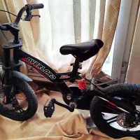 دوچرخه اصل اورلورد 16تایوان