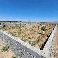فروش و معاوضه زمین بنیاد شهید
