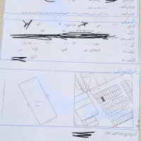 زمین-شهرک-زعفرانیه