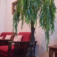 درختچه و گل