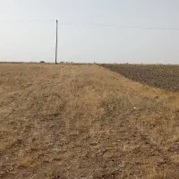 زمین باغی1800مترلب جاده معامله میکنم|فروش زمین و ملک کلنگی|قره پشتلو, |دیوار