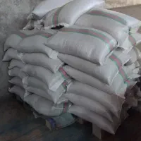 تخمه کانادایی|عمده‌فروشی|بیلوار, |دیوار