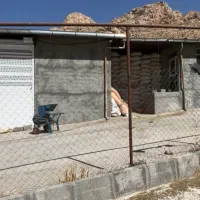 نیروی کار دامداری|استخدام سرایداری و نظافت|بیستون, |دیوار