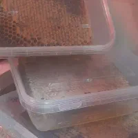 راهنمایی و مشورت