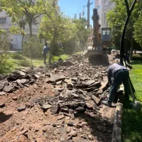 چند نفر کارگر ماهر و نیمه ماهر