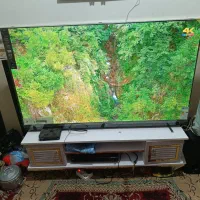 ا کیو ل ی دی 65اینچ اوولی