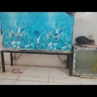 آکواریم شیشه ایی بزرگ و کوچک