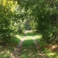 تفرجگاه خان‌بابا