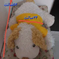 عروسک های نو|اسباب‌بازی بچه|قزوین, |دیوار