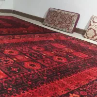 فرشینه 500شانه ،شش متری ،نه متری ،طرح سنتی ،لاکی