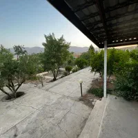 فروش باغ ثمری برق دار سیخ دارنگون|فروش دفتر صنعتی، کشاورزی، تجاری|شیراز, شهرک سراج‎|دیوار