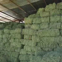 یونجه تازه و خشک کاه کُلَش