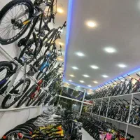 نمایندگی انواع برندهای روز دنیا/ویوا المپیا اورلرد