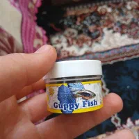 بچه ماهی گوپی|ماهی|شاهرود, |دیوار