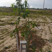 فروش-زمین-کاربری-تجاری-شوشتر