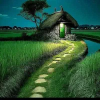نیازمند یک خانوم برای امور خانه داری