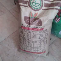 بذر ذرت ۷۰۴ مغان|خدمات باغبانی و درختکاری|تهران, خاک سفید|دیوار