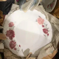 ارکوپال پارس اوپال