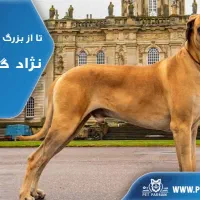 سگ رابه عهده میگرم