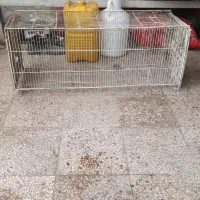 قفس ۱ متری بزرگ