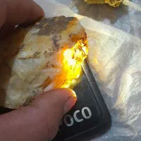 سنگ های قیمتی فسیل و راف و تاریخی