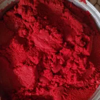 رب گوجه تمیز و بهداشتی بدون افزودنی پخت خانگی|خوردنی و آشامیدنی|شیراز, کوشک میدان|دیوار