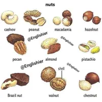 راهنمایی میکنم برای یادگیری زبان انگلیسی|فعالیت داوطلبانه|تهران, فلسطین (میدان انقلاب)|دیوار