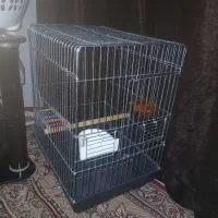 فروش قفس بزرگ مناسب عروس هلندی مرغ عشق و..|لوازم جانبی حیوانات|جیرفت, |دیوار