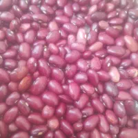 خریدار وسایل خشک شوی صنعتی هستم