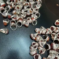 رنگ ثابت مغز سفید