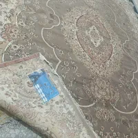 فرش ۱۲متری|فرش|کلاله, |دیوار