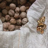 فروش گردوبازفت گردوعالی عمده وخرده|حراج|شوشتر, |دیوار