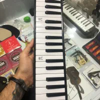 ملودیکا موجود در دورنگ