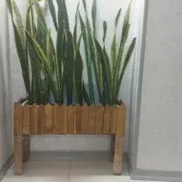 گلدان گل سانسوریا