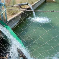 زمین باغی وزوان پشته دانشگاه پیام نور وزوان|فروش زمین و ملک کلنگی|میمه, |دیوار