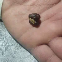 شهاب سنگ خاص