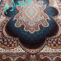 فرس سرمه ای مدل مهبد