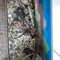 آکواریوم با تمام امکانات