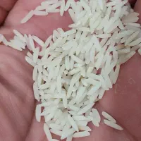 برنج/ دم سیاه/ صومعه سرا /طعم بی‌نظیر|خوردنی و آشامیدنی|تهران, ترمینال غرب|دیوار