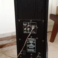 اسپیکر ونوس دو قلو